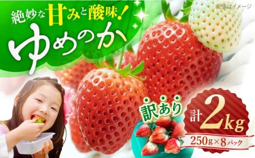 【先行予約】【 訳あり 】 ゆめのか 苺 計2kg （250g×8パック）＜川原農園＞ [CDR005] いちご イチゴ 訳あり 不揃い