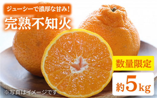 みかん デコポン 【3月下旬より順次発送】【贈答用にも♪】 屋根かけ 完熟 不知火 約5kg ＜中尾果樹園＞ [CEL003] 長崎県 西海市 みかん ミカン 柑橘 フルーツ 西海 オレンジ 果物 ミカン 贈答 ギフト フルーツ 果実 甘い あまい デザート 新鮮 産地直送 くだもの