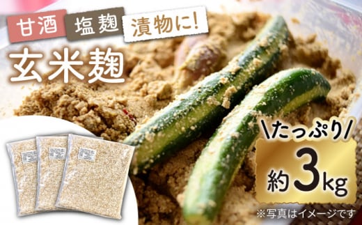 栽培期間中農薬不使用 玄米麹 （乾燥米麹） 九州産 約3kg〈川添酢造有限会社〉 [CDN062] 長崎 西海 味噌づくり 麹 みそ 手作り 味噌 麹