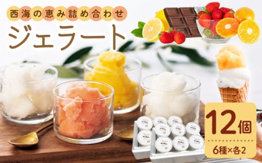 おまかせ ジェラート 12個＜みかんドーム＞ [CAI027] ジェラート アイス じぇらーと ジェラート 果物 旬 ジェラート 贈答 ギフト 贈り物 ジェラート お中元
