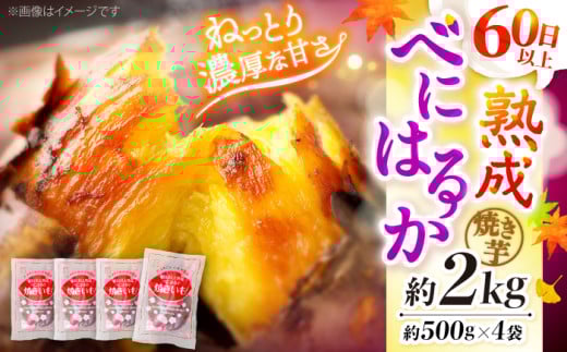 焼き芋 べにはるか やきいも 冷凍 2kg＜大地のいのち＞ [CDA012] 西海市 さつまいも 焼き芋 やきいも 贈答 ギフト 焼き芋