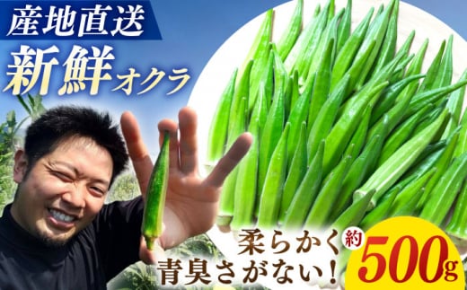 [6月より順次発送] オクラ 約500g 長崎 西海 オクラ おくら 贈答 ギフト [パッパラパー農園] [CFI007] 1万円 10000円 1万円以下 10000円以下