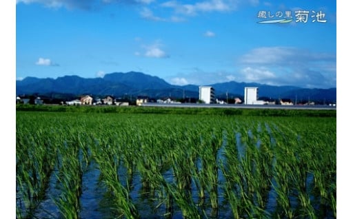  豊富な資源を生かした産業づくり（産業と経済）	