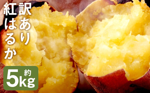 訳あり 紅はるか 約5kg 芋 さつまいも サツマイモ べにはるか 野菜《90日以内に出荷予定(土日祝除く)》