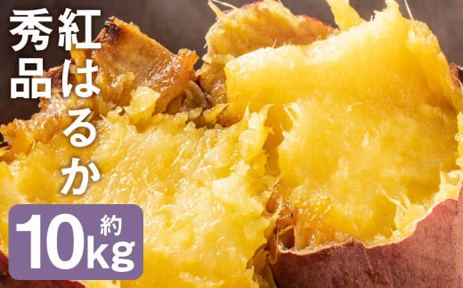 紅はるか 秀品 約10kg 芋 さつまいも サツマイモ べにはるか 野菜《90日以内に出荷予定(土日祝除く)》