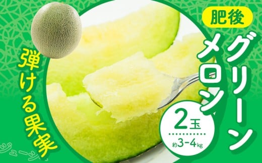 【先行予約】 メロン 肥後グリーンメロン 2玉 約 3kg ～ 4kg 株式会社Foody’s 食彩たかみ 《2026年5月下旬-7月下旬頃出荷》 熊本県 菊池市 フルーツ 果物 メロン 九州産 冷蔵 送料無料