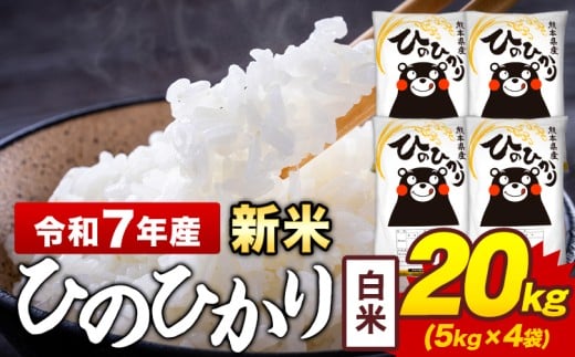 新米 令和7年産 白米 米 ひのひかり 20kg《12月中旬-2月末頃出荷》熊本県 菊池市 国産 熊本県産 白米 精米 送料無料 ヒノヒカリ こめ お米