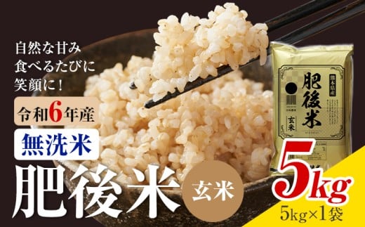 熊本県産 肥後米 無洗米 玄米 5kg 1袋5kg 米 お米 令和6年産 九州産 熊本県産 送料無料【30日以内に出荷予定（土日祝除く）】玄米 無洗米 米