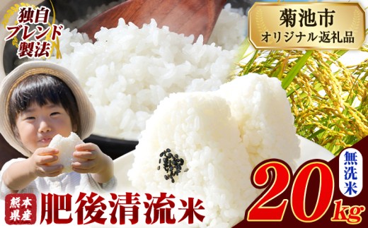 熊本県産 無洗米 肥後清流米 20kg 熊本県産 ふるさと納税 精米 米 こめ ふるさとのうぜい コメ お米 おこめ《12月中旬-2月末頃出荷》
