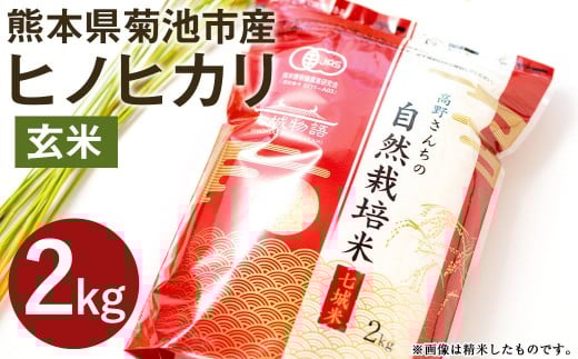 【真空パック】令和7年産 熊本県菊池産 ヒノヒカリ 玄米 計2kg(2kg×1パック)七城物語 高野さんちの自然栽培米 米 お米 こめ コメ