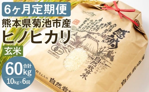 【真空パッケージ】【定期便6ヶ月】令和7年産 七城物語 高野さんちの 自然栽培米 (玄米) 10kg (2.5kg×4パック)  合計60kg お米 米 玄米 ヒノヒカリ