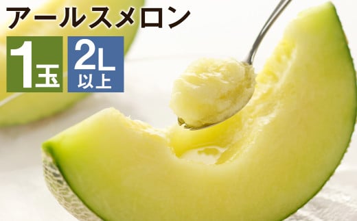 【先行予約】【2026年7月下旬より発送】アールスメロン 1玉  2L以上 メロン フルーツ 果物 くだもの 【メロンドーム】