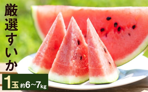 【2026年5月上旬より発送】厳選 すいか 1玉 6kg～7kg メロンドーム