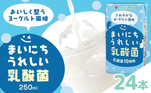 常温保存可能 まいにちうれしい 乳酸菌 ヨーグルト風味 250ml×24本 合同会社たべたせいか《30日以内に出荷予定(土日祝除く)》熊本県 菊池市 紙パック ヨーグルト飲料 乳酸菌 ドリンク 飲み物 飲料 常温保存 国産 熊本県産