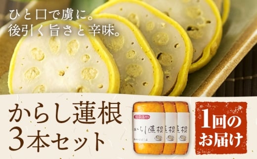 からし蓮根 セット 約280g×3本 辛子蓮根 カラシ 廣田蒲鉾店《90日以内に出荷予定(土日祝除く)》揚げたて レンコン 郷土料理 熊本県 菊池市 おつまみ 惣菜 冷蔵 送料無料