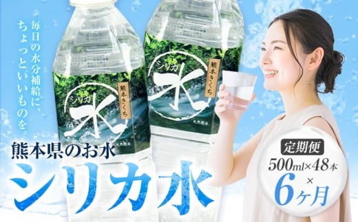 【6ヶ月定期便】 水 シリカ水 500ml × 48本 × 年6回 有限会社七城町特産品センター メロンドーム 《お申し込みの翌月から出荷》 熊本県 菊池市 水 軟水 飲料 ドリンク 清涼飲料水 天然地下水 ペットボトル ミネラルウォーター 定期便 送料無料
