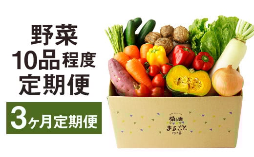 【定期便3回】 野菜 10品程度 詰め合わせ 3ヶ月 定期便 やさい 詰合せ セット【メロンドーム】【申込み翌月から出荷】