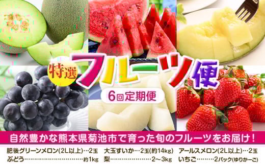 【定期便6回】特選 フルーツ 便 ( メロン すいか ぶどう 梨 いちご ) 《お申込み月の翌月から出荷開始》 スイカ 葡萄 ブドウ ナシ なし 苺 イチゴ 果物 くだもの セット 詰合せ 定期便【メロンドーム】 st-p