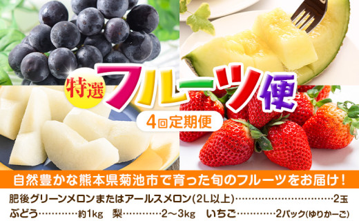 【定期便4回】厳選 フルーツ 便  ( メロン ぶどう 梨 いちご )  《お申込み月の翌月から出荷開始》 葡萄 ブドウ ナシ なし 苺 イチゴ 果物 くだもの セット 詰合せ 定期便【メロンドーム】 st-p
