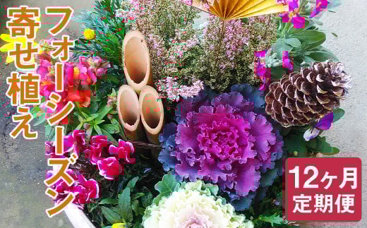 【定期便12回】フォーシーズン お花の寄せ植え【お申込み翌月から出荷】