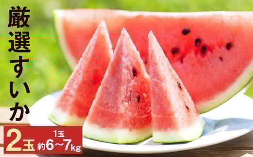 【2026年5月上旬より発送】 厳選 すいか 2玉 6kg～7kg  メロンドーム