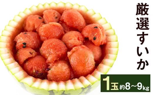 【2026年5月上旬より発送】厳選 すいか 1玉 8kg～9kg メロンドーム