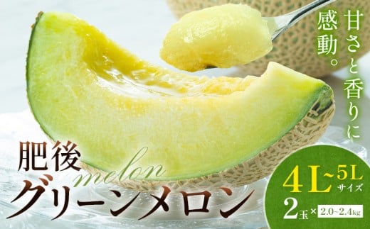 【先行予約】メロン 肥後グリーンメロン 特大 4L ～ 5L サイズ 2玉 約2～2.4kg×2 MOTOYAMA358FARM 《2026年4月中旬-6月中旬頃出荷》 熊本県 菊池市 メロン 果物 フルーツ 九州産 国産 送料無料