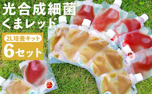 光合成細菌 ( 2L培養キット × 6セット ) 《90日以内に出荷予定(土日祝除く)》