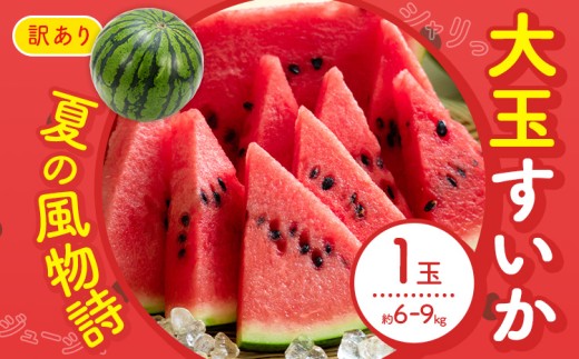 【先行予約】スイカ 訳あり 大玉すいか 1玉 約 6kg ～ 9kg L ～ 3L 混合 株式会社Foody’s 食彩たかみ 《2026年5月下旬-7月下旬頃出荷》 熊本県 菊池市 フルーツ 果物 スイカ すいか 訳あり 大玉 九州産 冷蔵 送料無料