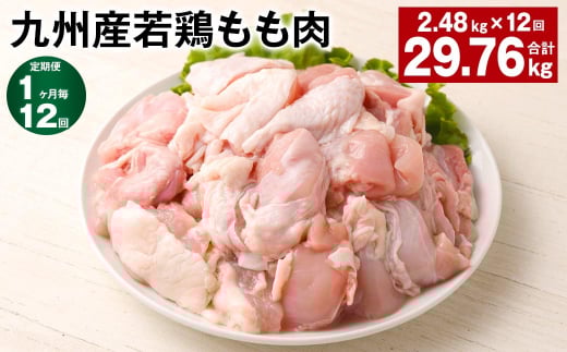 【1ヶ月毎12回定期便】 九州産若鶏もも肉 計約29.76kg（約2.48kg×12回） 鶏肉 もも肉 お肉【お申込み翌月から出荷】