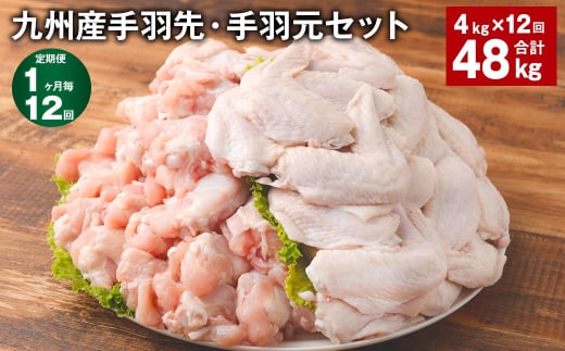 【1ヶ月毎12回定期便】 九州産手羽先・手羽元セット 計約48kg（約4kg×12回） 鶏肉 手羽先 手羽元【お申込み翌月から出荷】