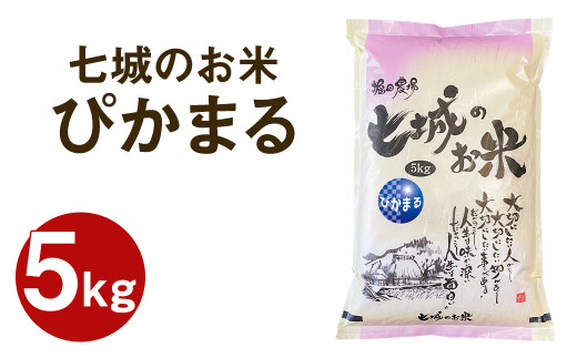 [令和7年産] 七城のお米 ぴかまる 5kg 米 白米 精米 こめ コメ お米 ごはん ご飯 熊本県産 [2025年10月中旬頃より出荷]