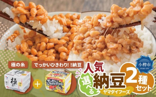 ヤマダイフーズ【 極の糸 北海道産極小粒納豆 】(40g×3パック)×12個(合計36パック)、でっかいひきわり!! 納豆 (3パック×12個)×2ケース(合計72パック)