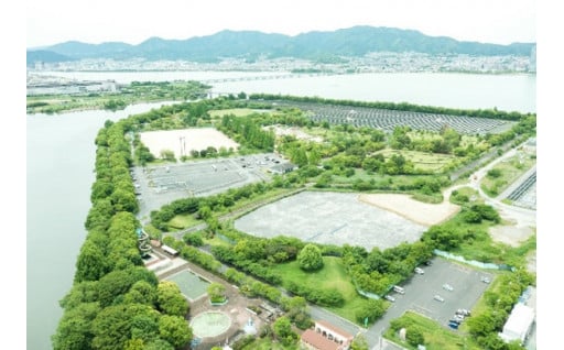 8.子どもが集う矢橋帰帆島公園を応援しよう