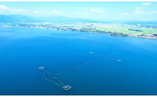 16.世界農業遺産「琵琶湖システム」と美しい棚田を未来へ