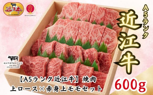 【A5ランク近江牛】焼肉用 上ロース×赤身上モモセット（600g）