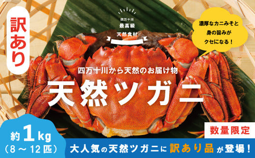 【 訳あり 数量限定 】 天然 ツガニ 約 1kg (8~12匹) 訳アリ 訳あり品 濃厚 うまみ 魚介 蟹 かに カニ つがに モクズガニ もくずがに 人気 リピーター お取り寄せ だし 味噌汁 炊き込みごはん 四万十川 グルメ 高知県 高知 四万十市 四万十 しまんと 24-030W