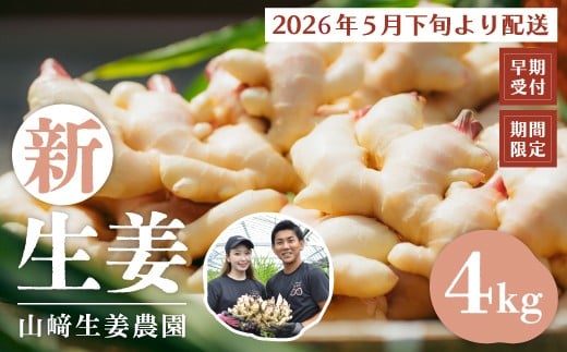 早期受付 期間限定 みずみずしさがたまらない 新生姜 約4kg【2026年5月下旬～9月上旬配送】高知県 高知 四万十市 四万十 しまんと 農作物 特産 しょうが 生姜 ショウガ 野菜 旬 新鮮 国産 先行 予約 ジンジャー 25-818
