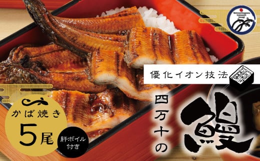 R5-012.四万十川優化イオンうなぎ蒲焼5尾(ボイル肝、たれ付き)