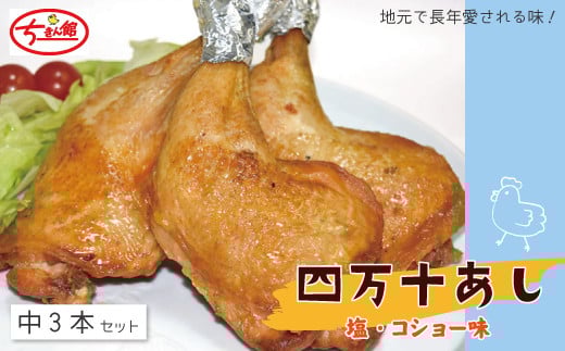 【ちきん館】四万十あし(塩・コショー味)中 3本セット 高知県 高知 四万十市 四万十 しまんと 国産 おかず チキン 鶏 鶏肉 パーティー 柔らかい 冷凍 真空 ジューシー 惣菜 ギフト 25-936