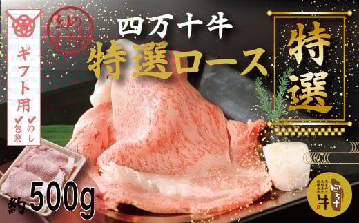 【ギフト用(包装・のし対応)】R5-974G.幻のメス牛 四万十牛特選ローススライス(すき焼き・しゃぶしゃぶ用)約500g