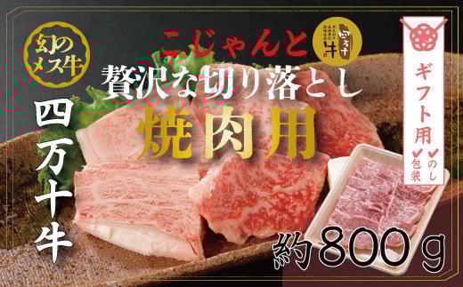 【ギフト用(包装・のし対応)】R5-019G.幻のメス牛 四万十牛こじゃんと贅沢な切り落とし(焼肉用・800g)