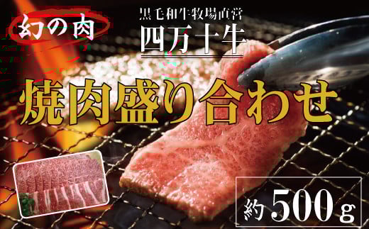 R5-978.幻の四万十牛 焼肉盛り合わせ(黒毛和牛) 約500g