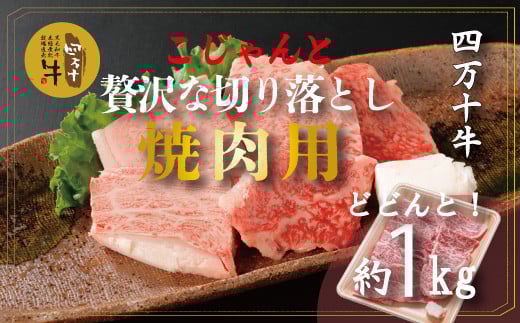 R5-979.幻の四万十牛 こじゃんと贅沢な切り落とし 焼肉用(黒毛和牛) 約1kg