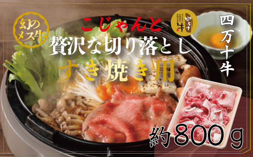 R5-018.幻のメス牛 四万十牛こじゃんと贅沢な切り落とし(すき焼き・800g)
