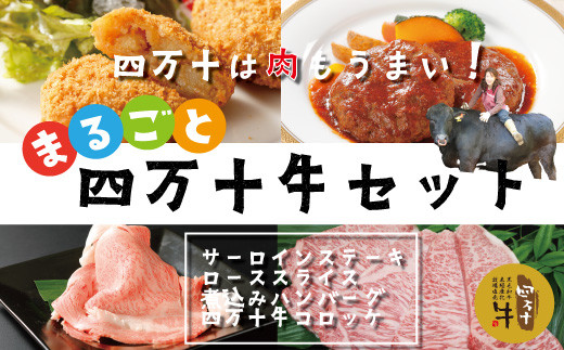 R5-021.幻のメス牛 まるごと四万十牛セット(サーロインステーキ・ローススライス・煮込みハンバーグ・四万十牛コロッケ)