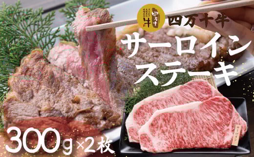 R5-981.幻のメス牛 四万十牛サーロインステーキ(300g×2枚)