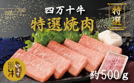 R5-977.幻のメス牛 四万十牛特選焼肉(約500g)