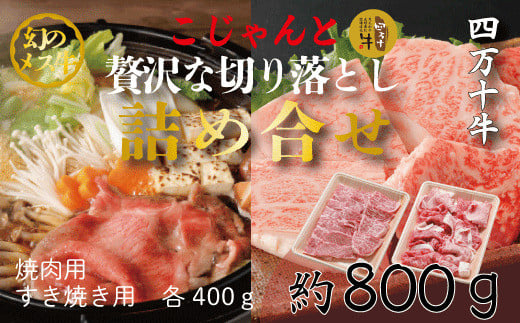 R5-020.幻のメス牛 四万十牛こじゃんと贅沢な詰め合せ(焼肉用・すき焼き用)計800g