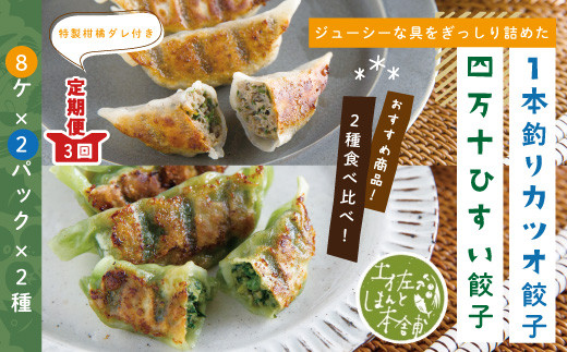 R6-1026.【3回定期便】家(うち)に来る“高知” ジューシーな具をぎっしり詰めた手づくり!! 四万十ひすい餃子・一本釣りかつお餃子(8ヶ×2パック×2種)・たれ付き にんにく不使用!